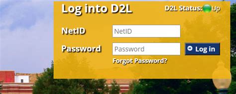 msub d2l|msu d2l bozeman.